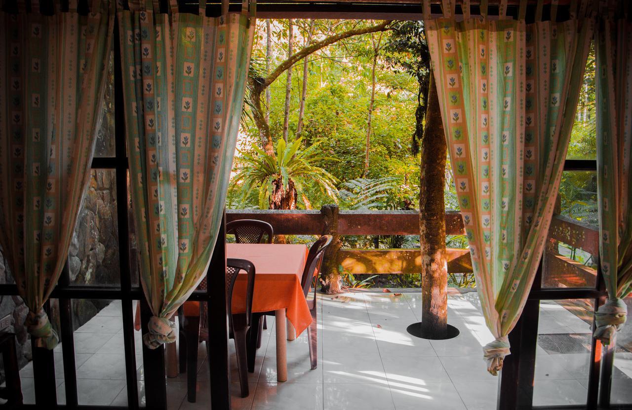 Valencia  Forest Camp Resort מראה חיצוני תמונה